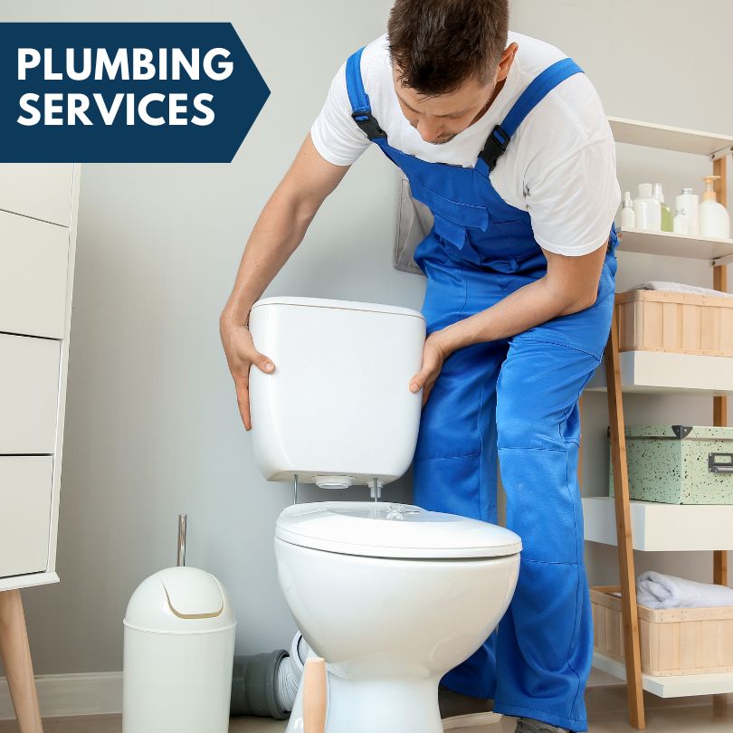 Plumbing Company in Pomona, IL